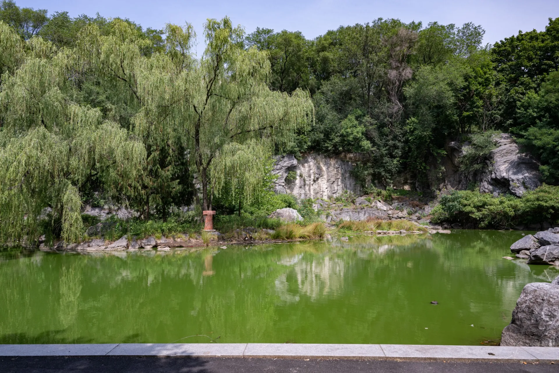 The green pond at Morningside Park