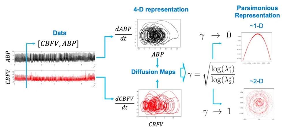 Proposed framework based on diffusion maps for parsimonious modeling and analysis of dynamic cerebral autoregulation